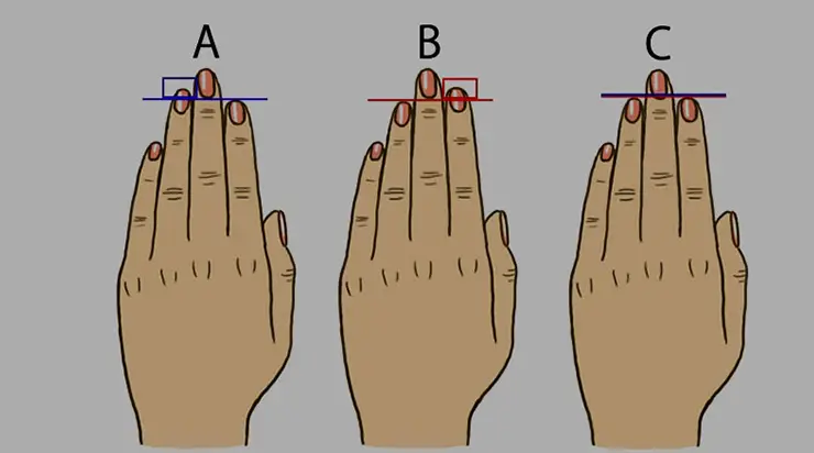 Իմացեք Ձեր բնավորության մասին` ըստ Ձեր մատների երկարության