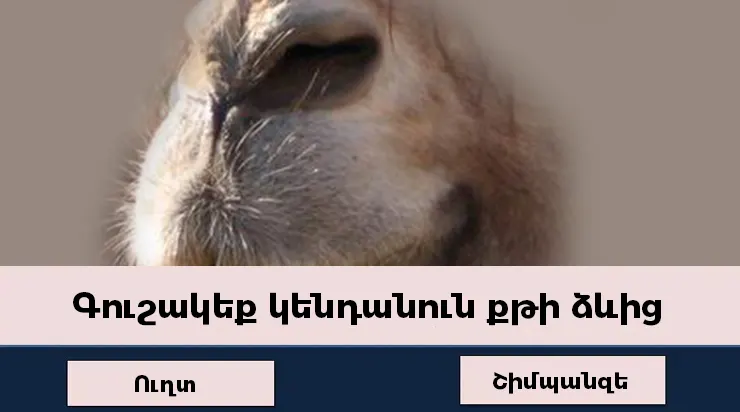 Test Quiz