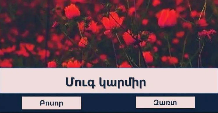 Test Quiz